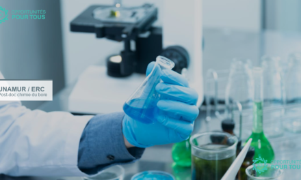 Post-doctorat en chimie du bore à l&rsquo;Université de Namur (projet ERC B-YOND)