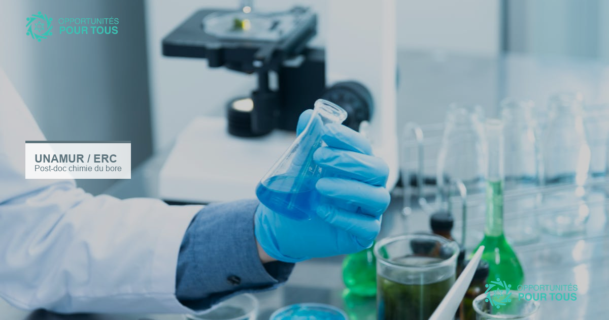 Post-doctorat en chimie du bore à l&rsquo;Université de Namur (projet ERC B-YOND)