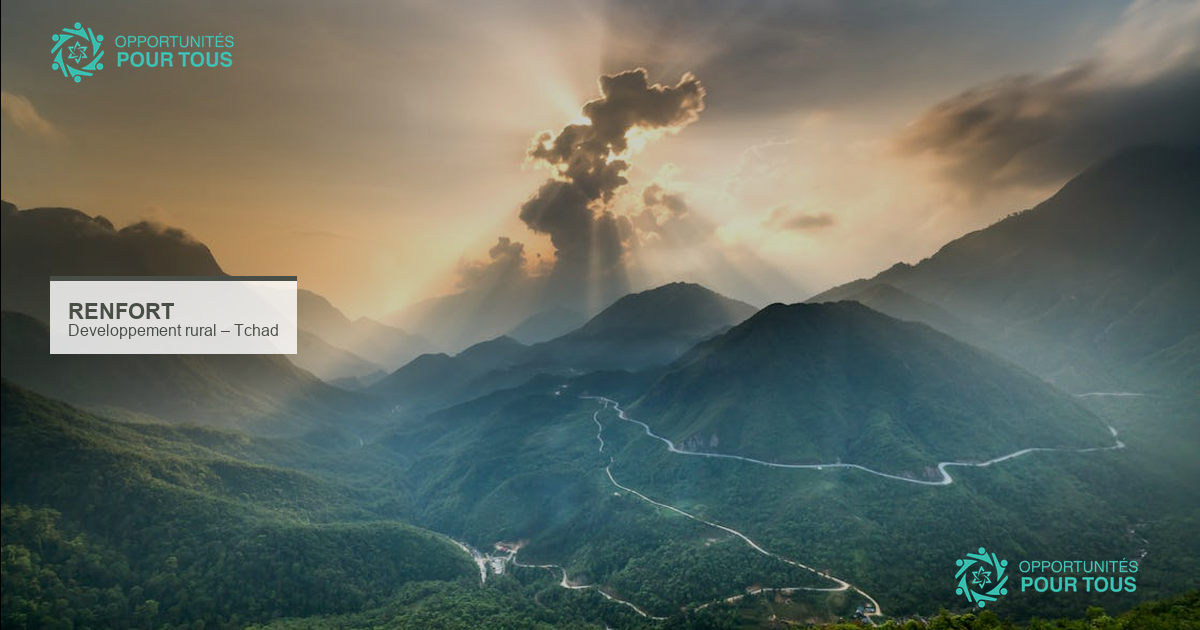 RENFORT recrute 4 postes pour le développement rural au Tchad