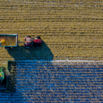 Stage agroécologie coopérative cacaoyère Côte d&rsquo;Ivoire AVSF