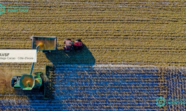 Stage agroécologie coopérative cacaoyère Côte d&rsquo;Ivoire AVSF