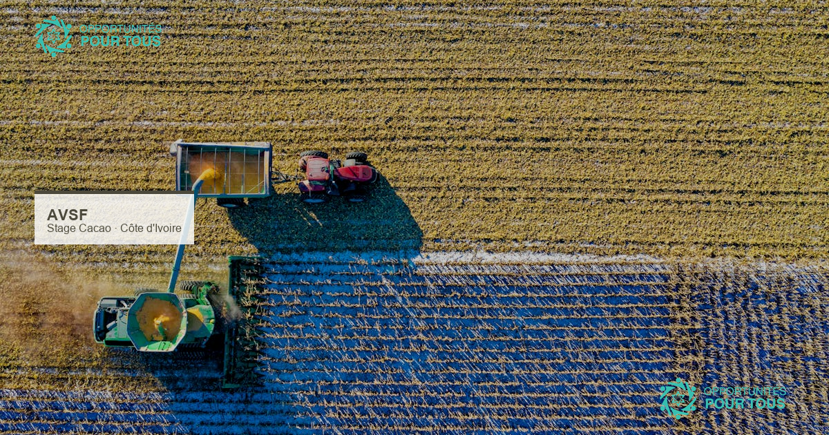 Stage agroécologie coopérative cacaoyère Côte d&rsquo;Ivoire AVSF