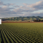 Stage en France – Chaire Légumineuses Institut Agro (USSEIN)