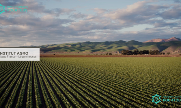 Stage en France – Chaire Légumineuses Institut Agro (USSEIN)