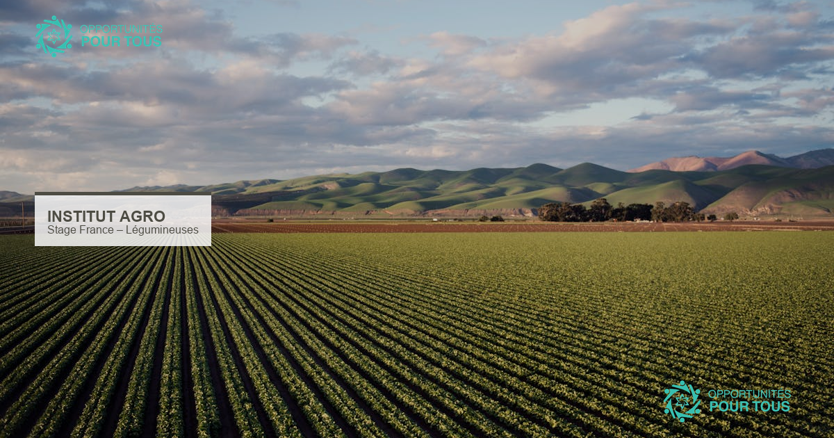 Stage en France – Chaire Légumineuses Institut Agro (USSEIN)