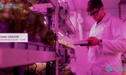 Togo Créatif recrute un assistant administratif au Goethe-Institut Lomé