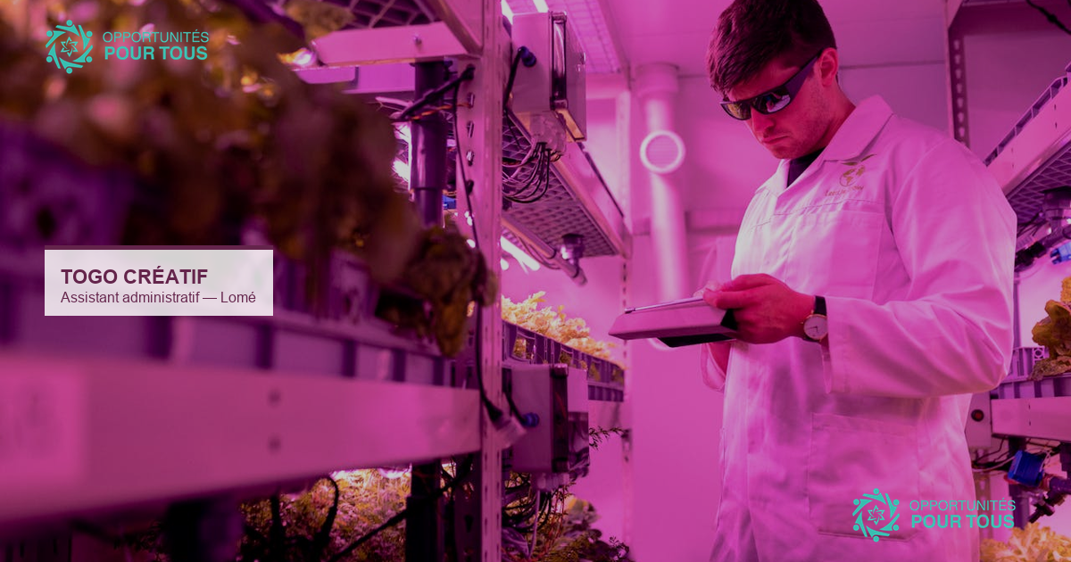 Togo Créatif recrute un assistant administratif au Goethe-Institut Lomé