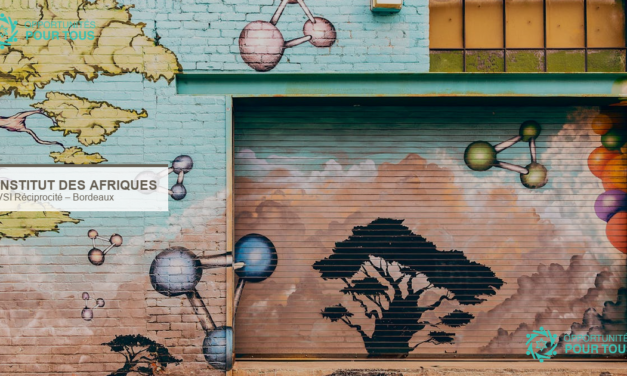 VSI Réciprocité : chargé(e) de projet culturel à l&rsquo;Institut des Afriques de Bordeaux