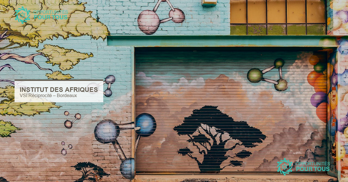 VSI Réciprocité : chargé(e) de projet culturel à l&rsquo;Institut des Afriques de Bordeaux