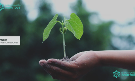 Youth4Climate 2026 – Financement et apprentissage pour jeunes innovateurs climat | PNUD