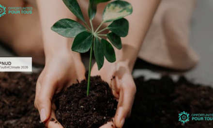 Youth4Climate Call for Solutions 2026 – Jusqu&rsquo;à 30 000 $ pour votre solution climatique