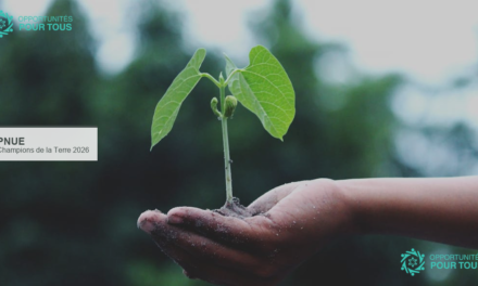 Jeunes Champions de la Terre 2026 – Le prix ONU pour les jeunes innovateurs environnementaux