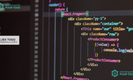 AMI CJES Togo – Recrutement de prestataires pour la plateforme e-CIJES