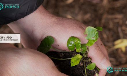 OIF/IFDD – Appel à experts négociateurs francophones sur la désertification 2026-2027