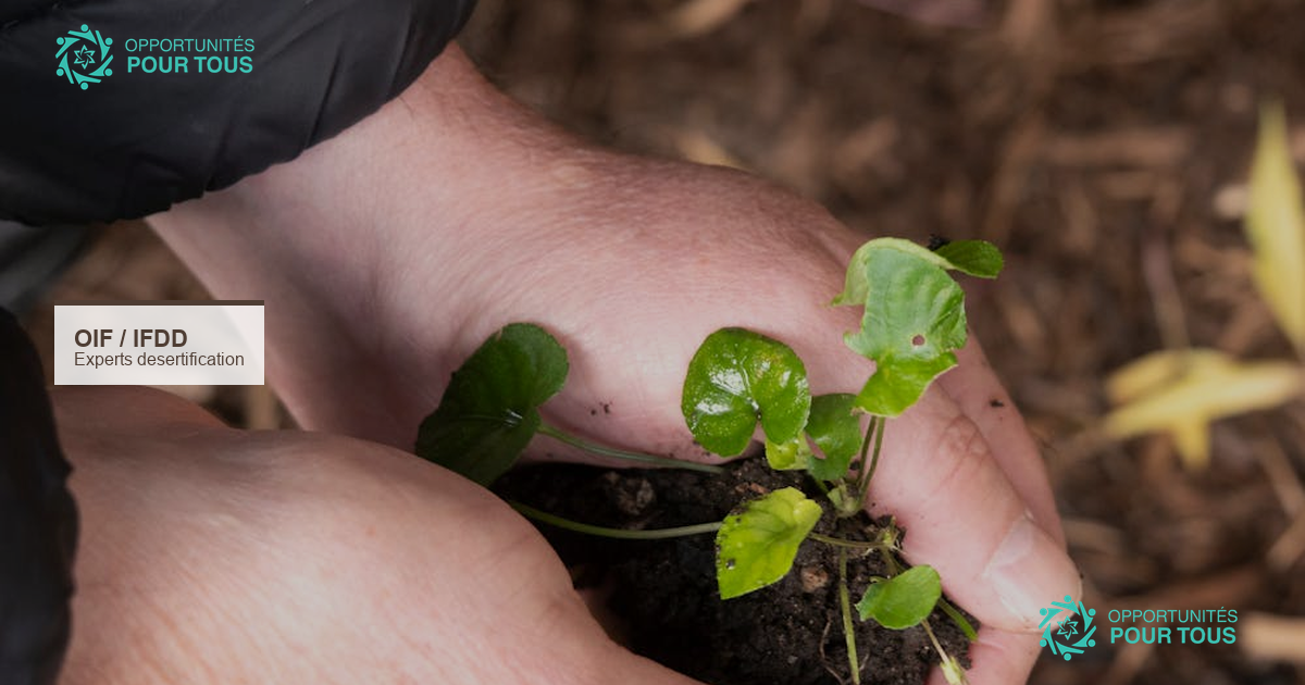 OIF/IFDD – Appel à experts négociateurs francophones sur la désertification 2026-2027