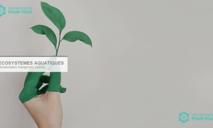 2ᵉ Journée des Écosystèmes Aquatiques – Restauration des mangroves à Ganvié