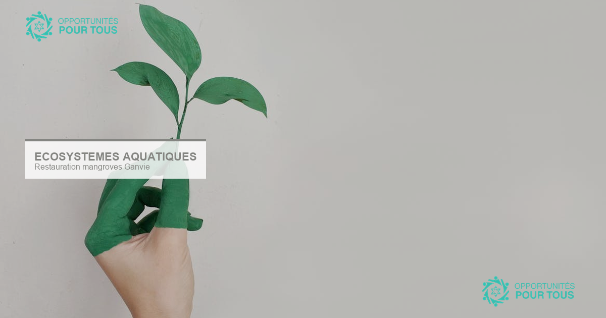 2ᵉ Journée des Écosystèmes Aquatiques – Restauration des mangroves à Ganvié