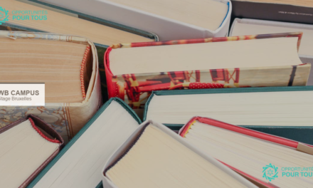 Stage en relations internationales – Wallonie-Bruxelles Campus | Bruxelles