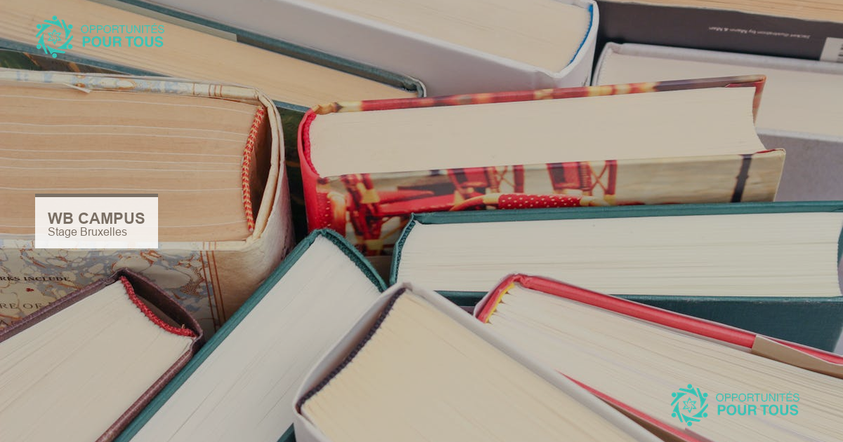 Stage en relations internationales – Wallonie-Bruxelles Campus | Bruxelles