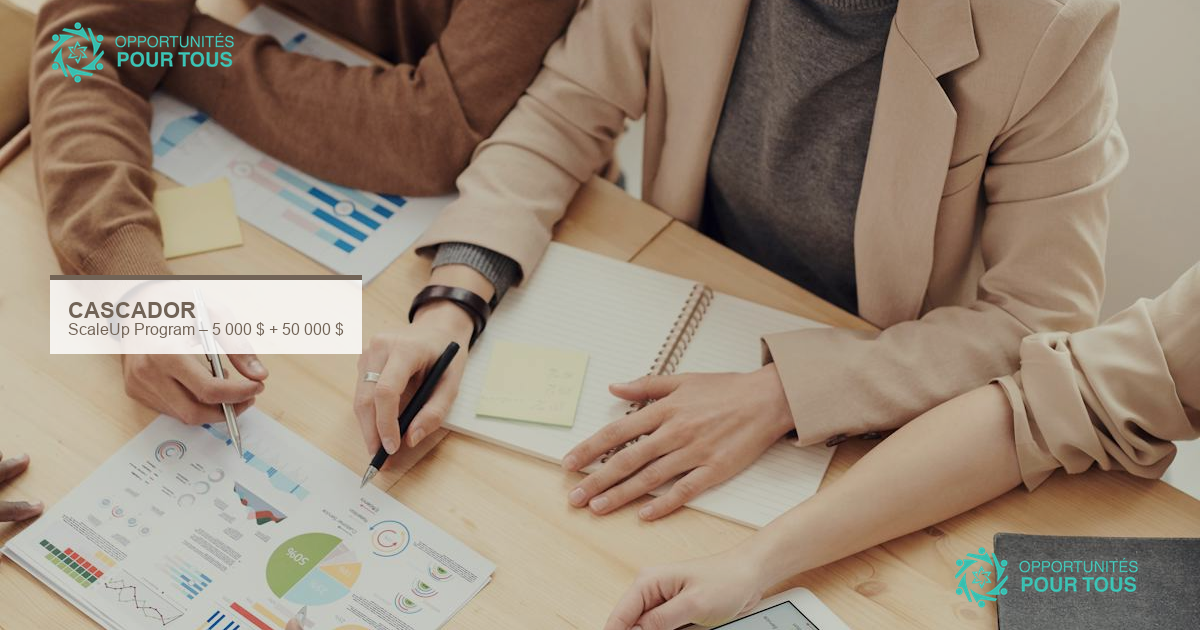 Cascador ScaleUp Program 2026 : 12 semaines d&rsquo;accélération + 50 000 $ pour startups africaines