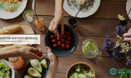 Goethe-Institut Sénégal recrute un Coordinateur de Projet à Dakar (CDD 2 ans, 50%)