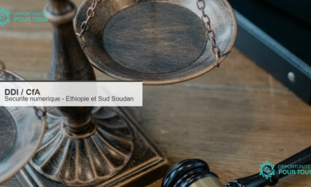 Formation gratuite en sécurité numérique pour défenseurs des droits humains en Éthiopie et Soudan du Sud