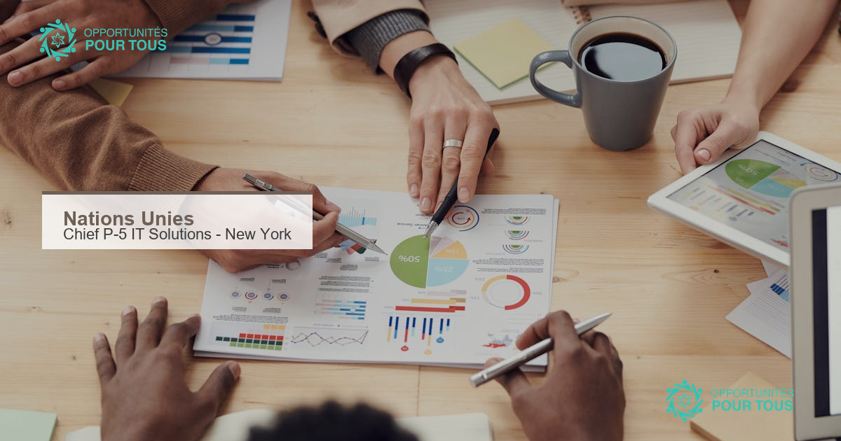 Les Nations Unies recrutent un(e) Chief P-5 pour diriger le Centre d&rsquo;Excellence IT à New York