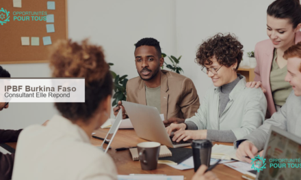 L&rsquo;IPBF recrute un(e) consultant(e) pour la capitalisation du projet « Elle Répond » au Burkina Faso