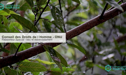 Conseil des Droits de l&rsquo;Homme de l&rsquo;ONU : appel a candidatures pour le Rapporteur Special sur l&rsquo;eau potable et l&rsquo;assainissement