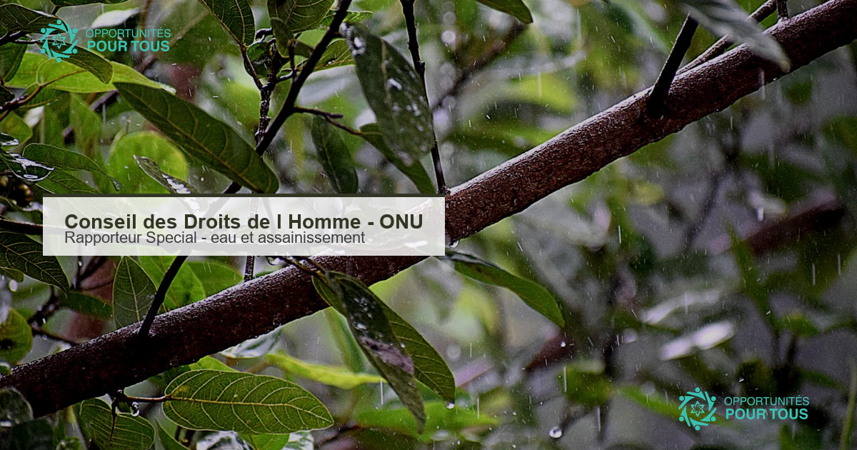 Conseil des Droits de l&rsquo;Homme de l&rsquo;ONU : appel a candidatures pour le Rapporteur Special sur l&rsquo;eau potable et l&rsquo;assainissement