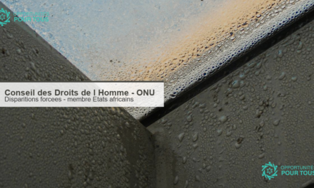Conseil des Droits de l&rsquo;Homme de l&rsquo;ONU : appel a candidatures – membre africain du Groupe de travail sur les disparitions forcees