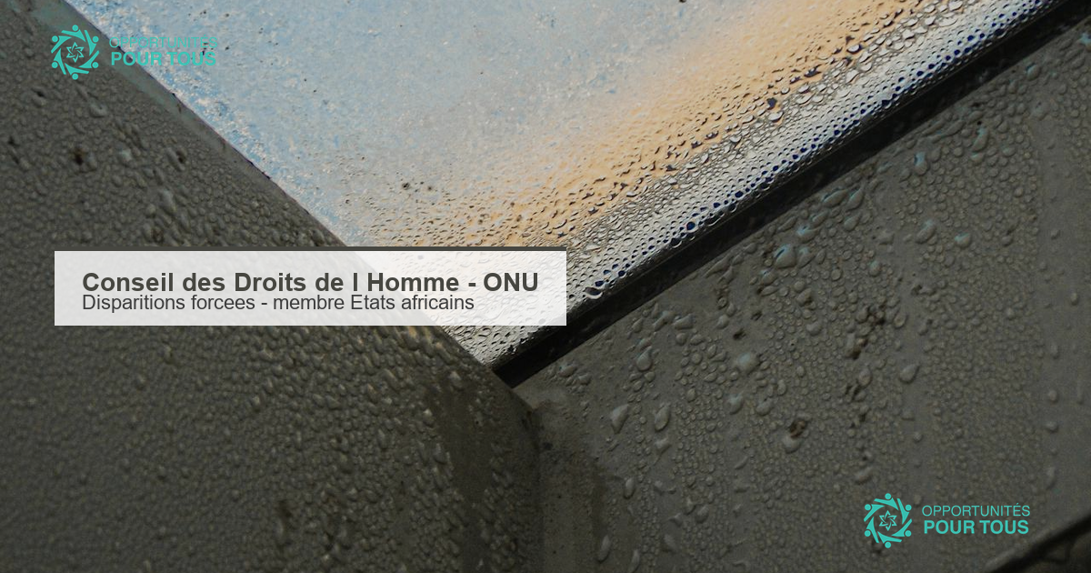 Conseil des Droits de l&rsquo;Homme de l&rsquo;ONU : appel a candidatures – membre africain du Groupe de travail sur les disparitions forcees