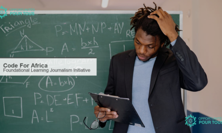 Code For Africa : Foundational Learning Journalism Initiative pour les journalistes du Kenya, du Senegal et d&rsquo;Afrique du Sud
