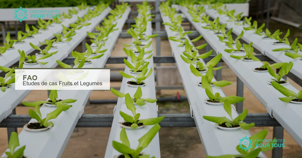 La FAO lance un appel à études de cas sur les fruits et légumes dans le monde