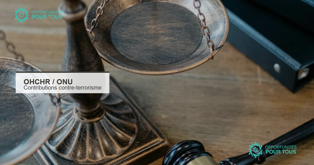 Appel à contributions de l&rsquo;ONU : contre-terrorisme, crime organisé et droits humains
