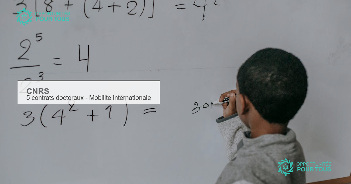 CNRS : 5 contrats doctoraux de 36 mois avec mobilité internationale en sciences humaines et sociales