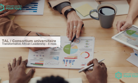 Transformative African Leadership : programme panafricain de 8 mois pour professionnels en milieu de carrière