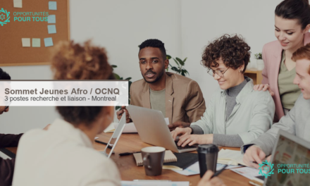 Sommet Jeunes Afro recrute 3 postes à Montréal : liaison, recherche et évaluation