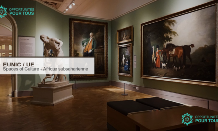 EUNIC Spaces of Culture 2026 : jusqu&rsquo;à 50 000 euros pour des projets culturels en Afrique subsaharienne