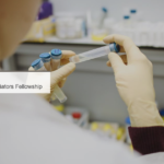 African Youth Negotiators Fellowship 2026 : formation gratuite et accès à la COP31 pour jeunes Africains