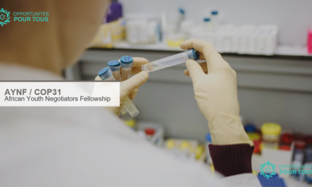 African Youth Negotiators Fellowship 2026 : formation gratuite et accès à la COP31 pour jeunes Africains