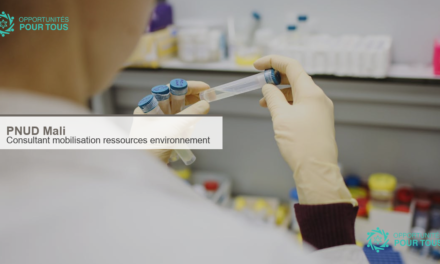 PNUD Mali recrute un(e) consultant(e) international(e) en mobilisation de ressources pour l&rsquo;environnement