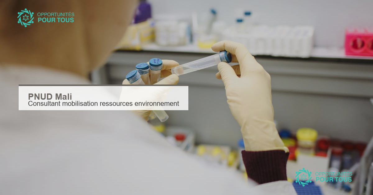 PNUD Mali recrute un(e) consultant(e) international(e) en mobilisation de ressources pour l&rsquo;environnement