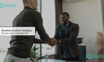 Bourse du Goethe-Institut Abidjan : cours d&rsquo;allemand B1 pour enseignants ivoiriens