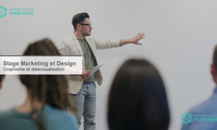 Offre de stage Marketing et Design : graphisme, datavisualisation et statistiques