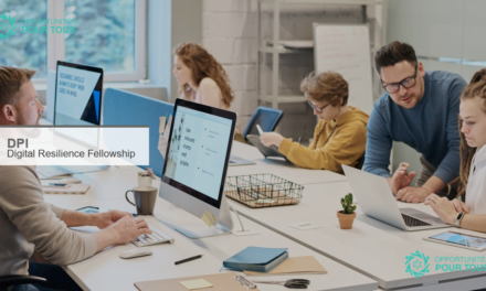 DPI Digital Resilience Fellowship : formation en sécurité numérique pour défenseurs des droits humains