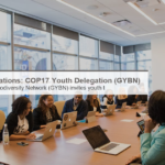 Call for Applications: COP17 Youth Delegation (GYBN)