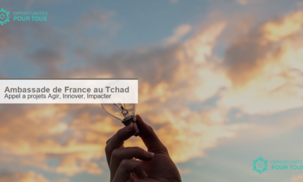 Tchad : appel a projets Agir, Innover, Impacter de l&rsquo;Ambassade de France