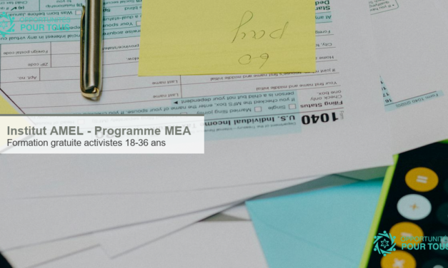 Institut AMEL : programme de formation en ligne et gratuite pour les jeunes activistes du Moyen-Orient et d&rsquo;Afrique (MEA)