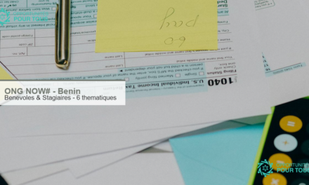 ONG NOW# Benin : appel a candidatures pour des benevoles et stagiaires sur 6 thematiques d&rsquo;engagement